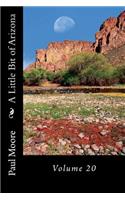 A Little Bit of Arizona: Volume 20(20 Arizona)