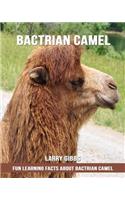 Fun Learning Facts about Bactrian Camel