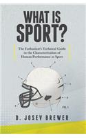 What Is Sport?