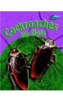 Cockroaches Up Close