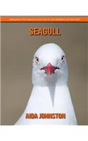 Seagull: Amazing Pictures & Fun Facts on Animals in Nature