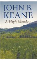 A High Meadow