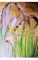 Ritorno delle Coccinelle