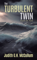 Turbulent Twin