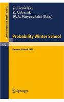 Probability Winter School