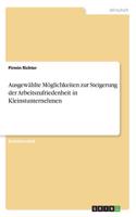 Ausgewählte Möglichkeiten zur Steigerung der Arbeitszufriedenheit in Kleinstunternehmen