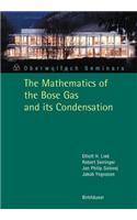 The Mathematics of the Bose Gas and Its Condensation