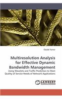 Multiresolution Analysis for Effective Dynamic Bandwidth Management