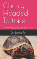 Cherry Headed Tortoise