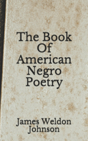 The Book Of American Negro Poetry