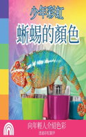 少年彩虹, 蜥蜴的顏色