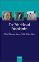 The Principles Of Endodontice