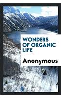 Wonders of organic life