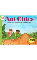 Ant Cities