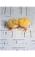 Science Theme School Composition Book Cute Baby Chicks Chicken Genetic Genome Map: Science Class School Composition Books Notebooks (Notebook, Diary, Blank Book)