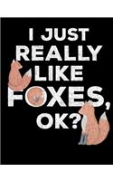 I Just Really Like Foxes OK?