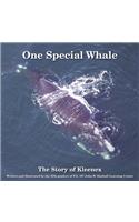 One Special Whale