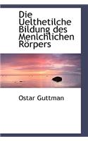 Die Uelthetilche Bildung Des Menlchlichen R Rpers