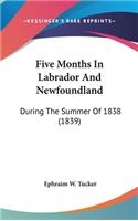Five Months In Labrador And Newfoundland