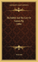 The Rabbit And The Cavy Or Guinea Pig (1896)