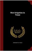Rice Irrigation in Texas