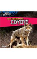 Your Neighbor the Coyote