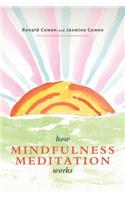 How Mindfulness Meditation Works: A Modern Buddhist View