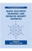 Many-Electron Densities and Reduced Density Matrices