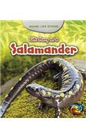 Life Story of a Salamander: (Animal Life Stories)