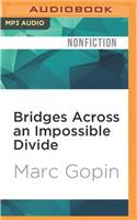 Bridges Across an Impossible Divide