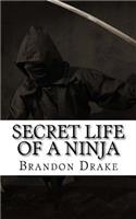 Secret Life of a Ninja