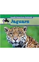 Jaguars