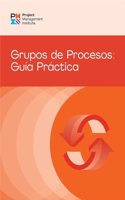 Process Groups: A Practice Guide (Spanish)