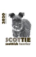 Scottie