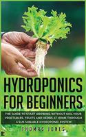 Hydroponics for Beginners