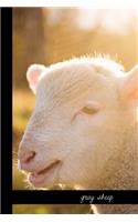 gray sheep