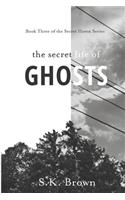 The Secret Life of Ghosts: The Suspenseful Culmination