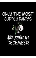 Only The Most Cuddly Pandas Are Born In December