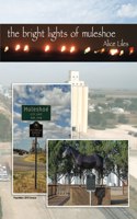 Bright Lights of Muleshoe