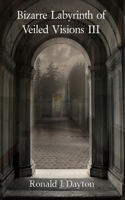 Bizarre Labyrinth of Veiled Visions III