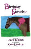 Birthday Surprise