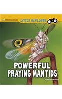 Powerful Praying Mantids