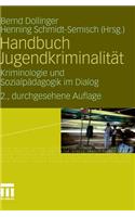 Handbuch Jugendkriminalitat