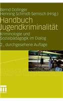 Handbuch Jugendkriminalitat: Kriminologie Und Sozialpadagogik Im Dialog