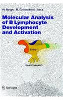 Molecular Analysis of B Lymphocyte Development and Activation