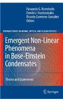 Emergent Nonlinear Phenomena in Bose-Einstein Condensates