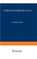 Rachen Und Tonsillen, Speiseröhre, Magen Und Darm, Bauchfell
