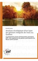 Analyse Stratégique d'Un Type de Gestion Intégrée de l'Eau Au Québec