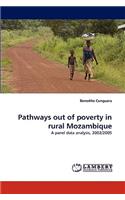 Pathways Out of Poverty in Rural Mozambique