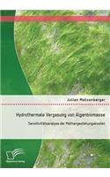 Hydrothermale Vergasung von Algenbiomasse: Sensitivitätsanalyse der Methangestehungskosten